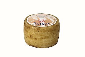 Pecorino